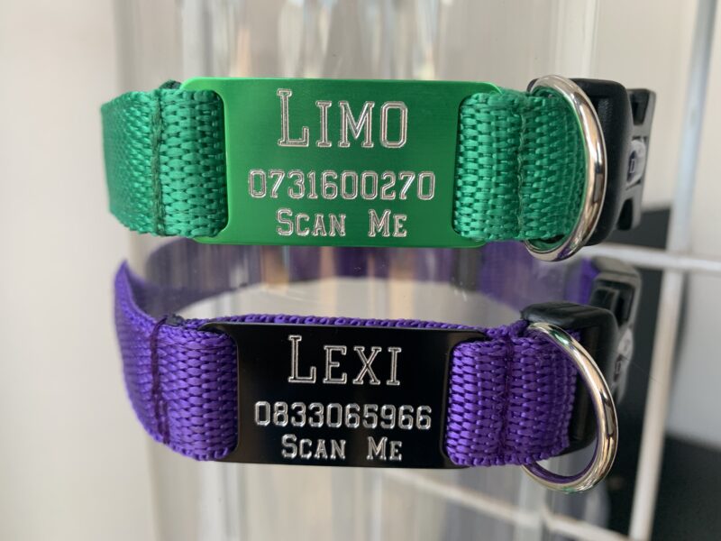 Classic Combo (ID Collar, Leash, Harness)