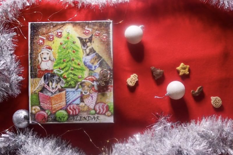Advent Calendar for Dogs