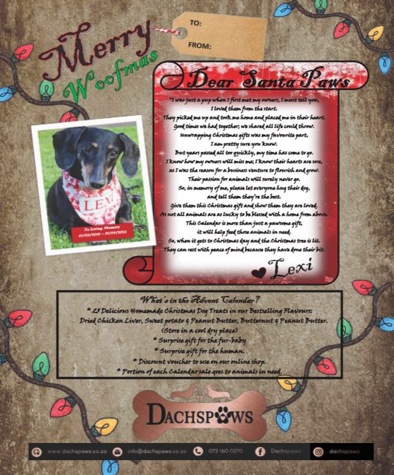 Advent Calendar for Dogs