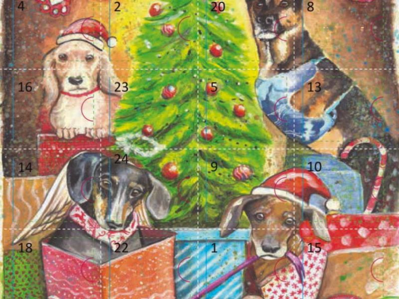 Advent Calendar for Dogs