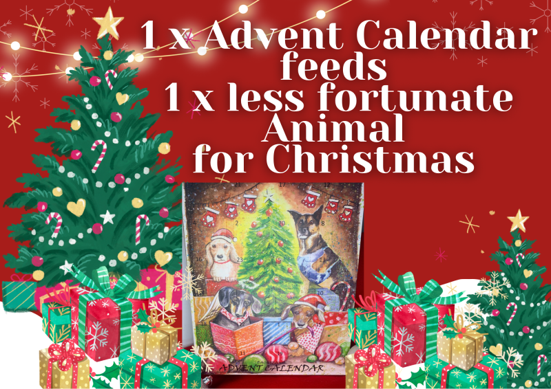 Advent Calendar for Dogs