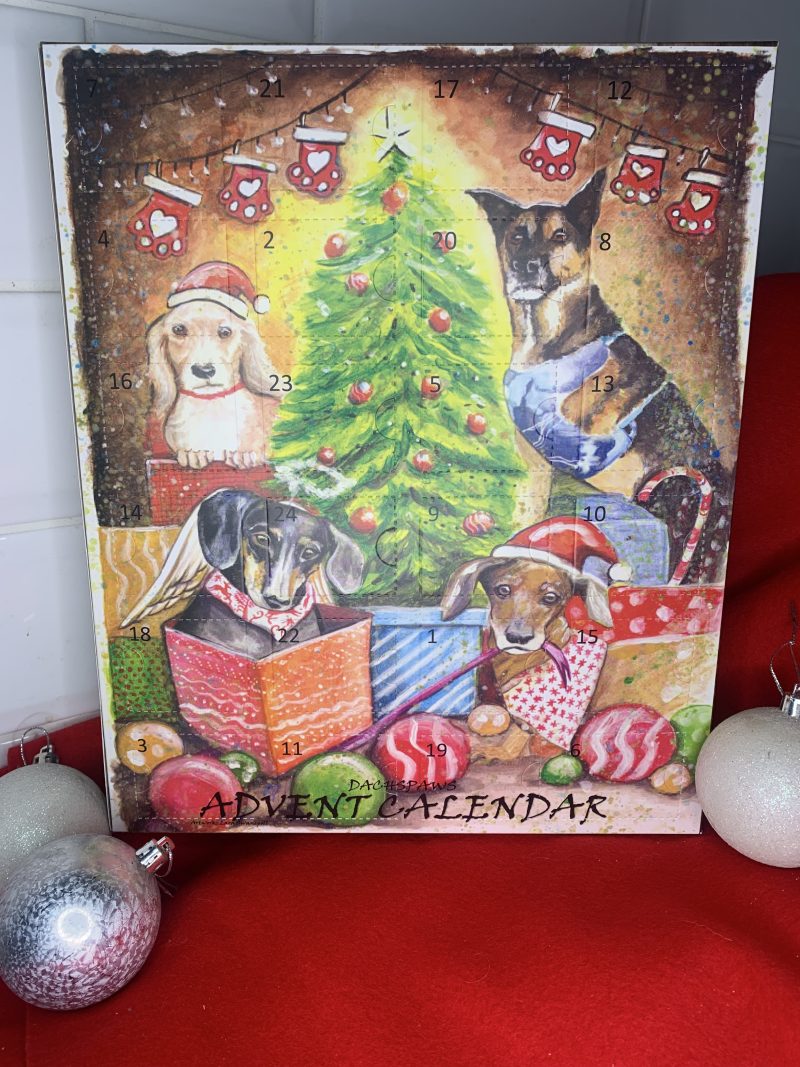Advent Calendar for Dogs