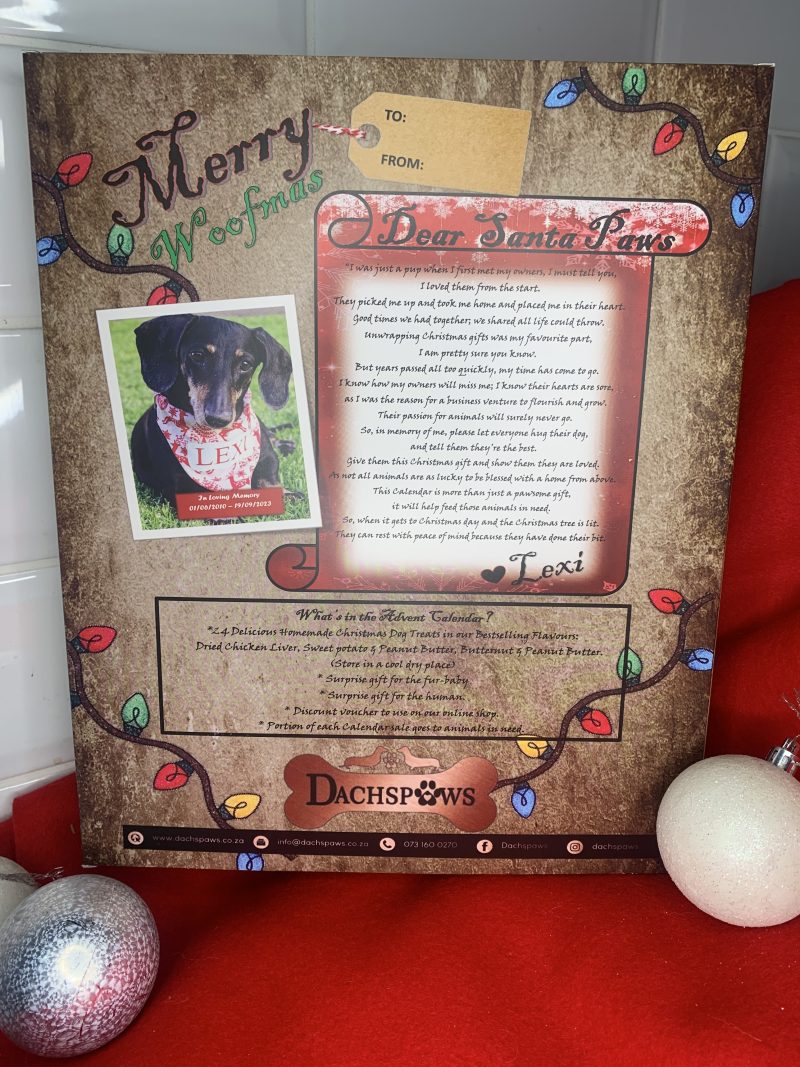 Advent Calendar for Dogs