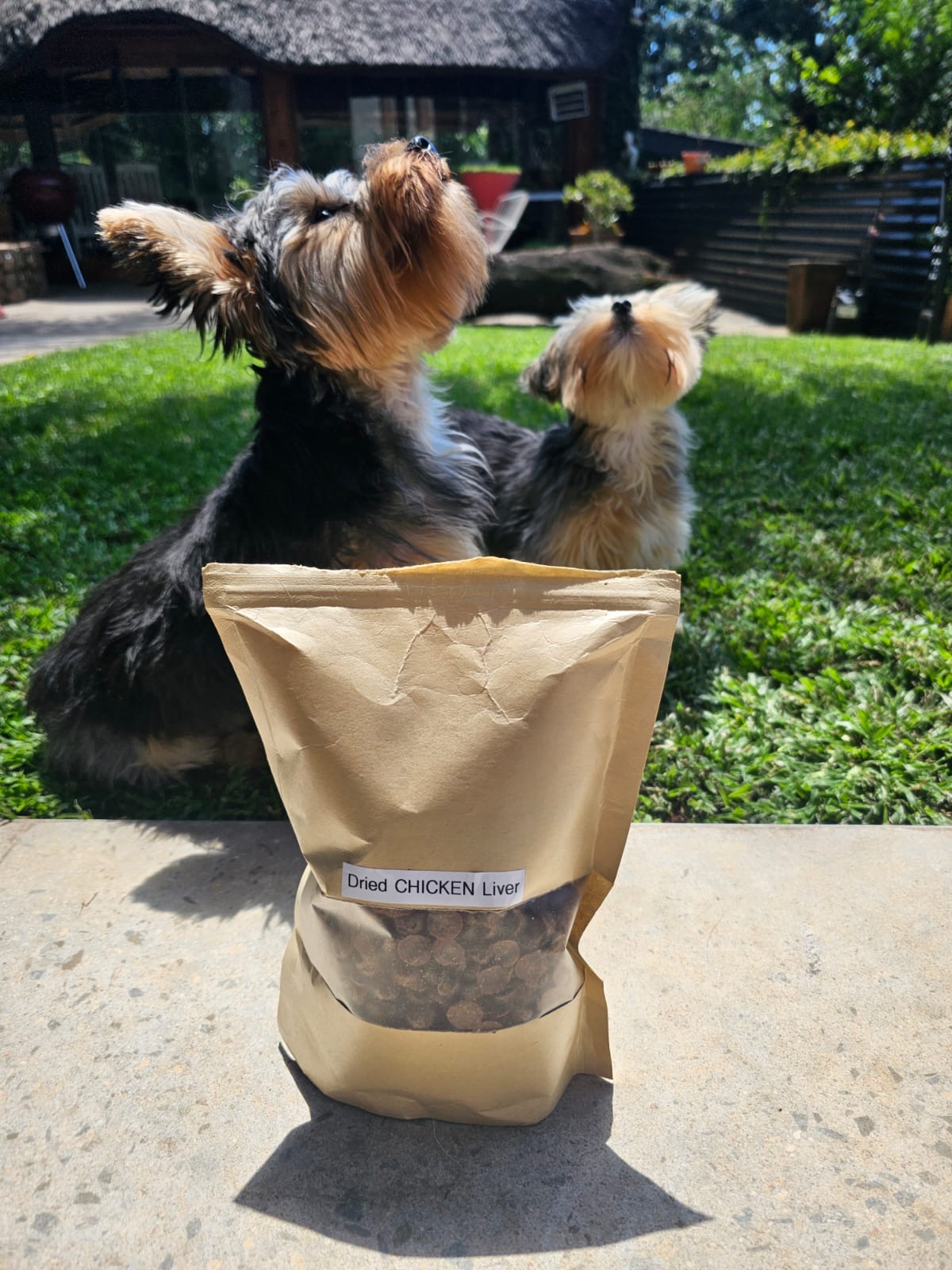 Training Treats